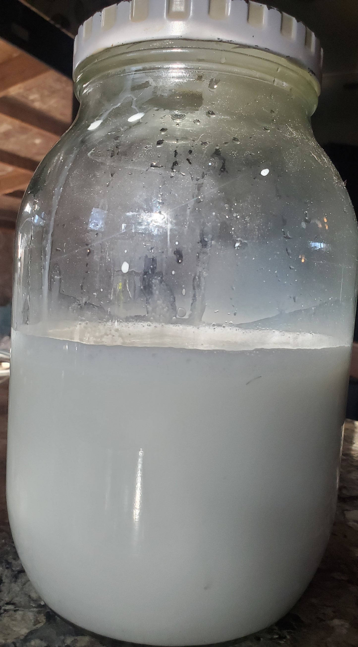 Fresh jar of goat milk. 1 gal glass mason jar