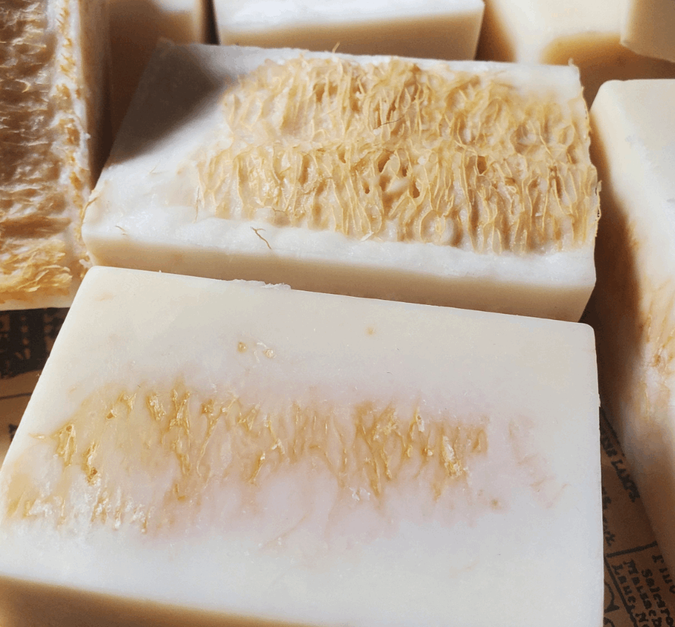 Luffa with Goat Milk & Coconut Milk Hand Poured Cold Process Soap with Coconut Oil Loofah Soap