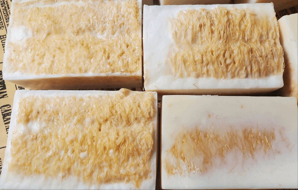 Luffa with Goat Milk & Coconut Milk Hand Poured Cold Process Soap with Coconut Oil Loofah Soap