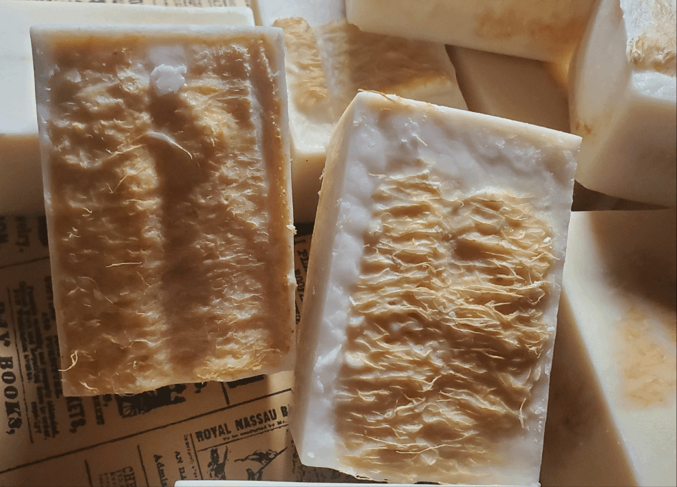 Luffa with Goat Milk & Coconut Milk Hand Poured Cold Process Soap with Coconut Oil Loofah Soap